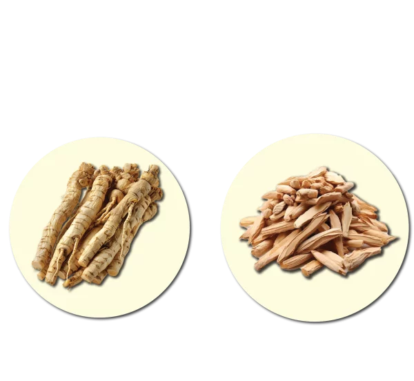 metaponin-hq-bahan