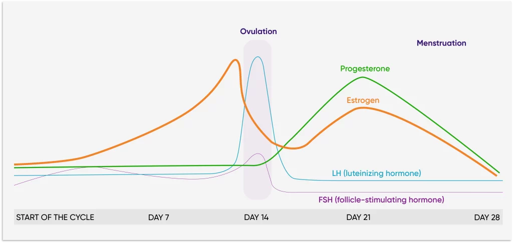 metaponin-hq-graph